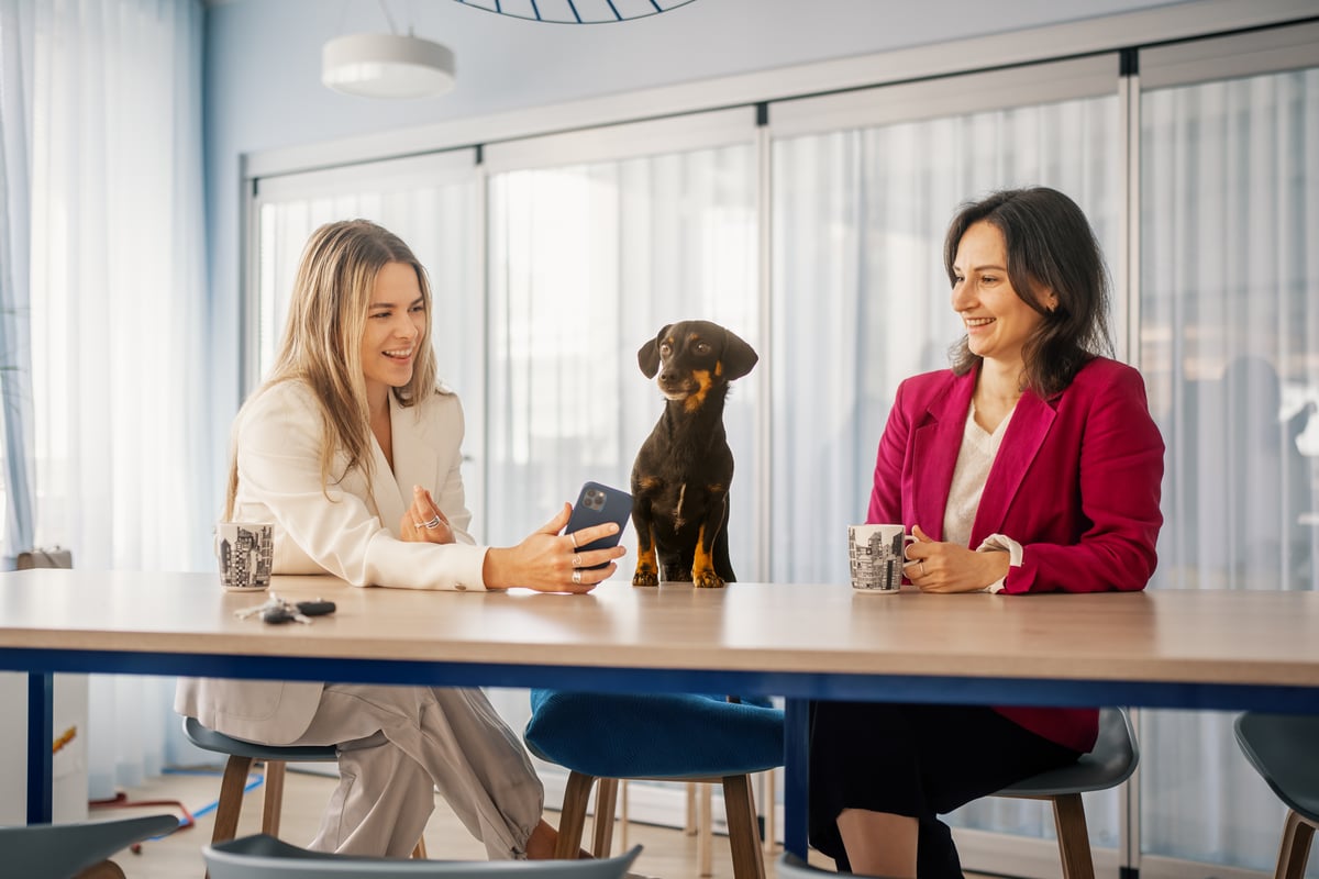 019 Sievo 6-2023 HIGH RES