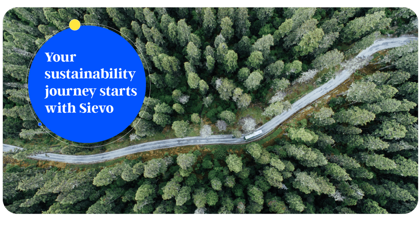 Sustainability leaders